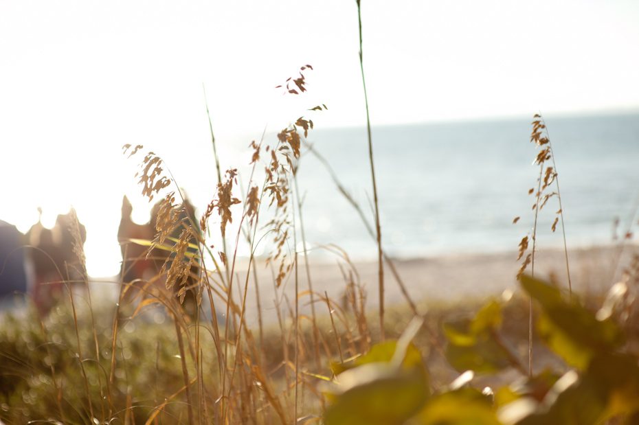 sand dunes at wedding