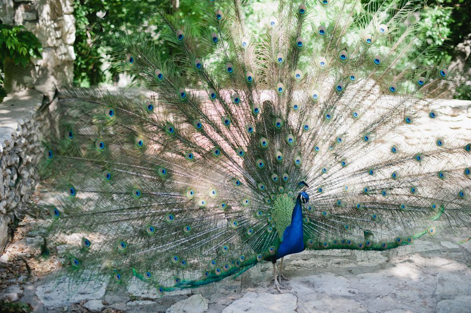 Mayfield Park Austin Wedding