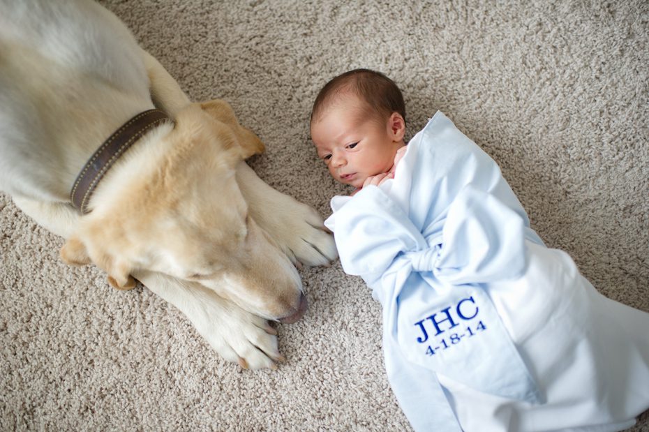 Dog and baby